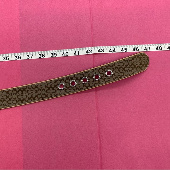 Coach brown belt - Picture 2 of 2